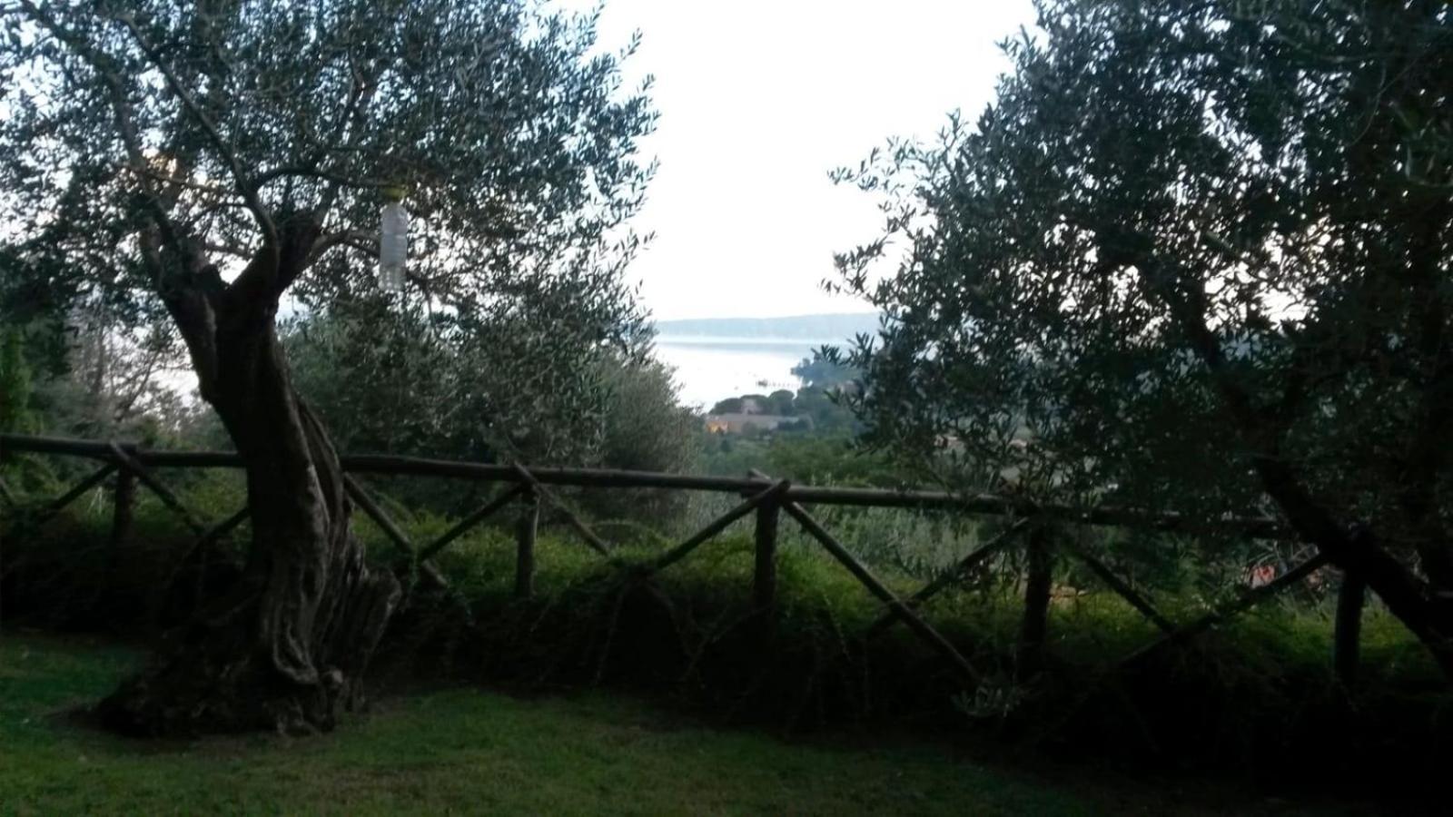 La Cerasa - Il Lago Fuori Bracciano  Esterno foto