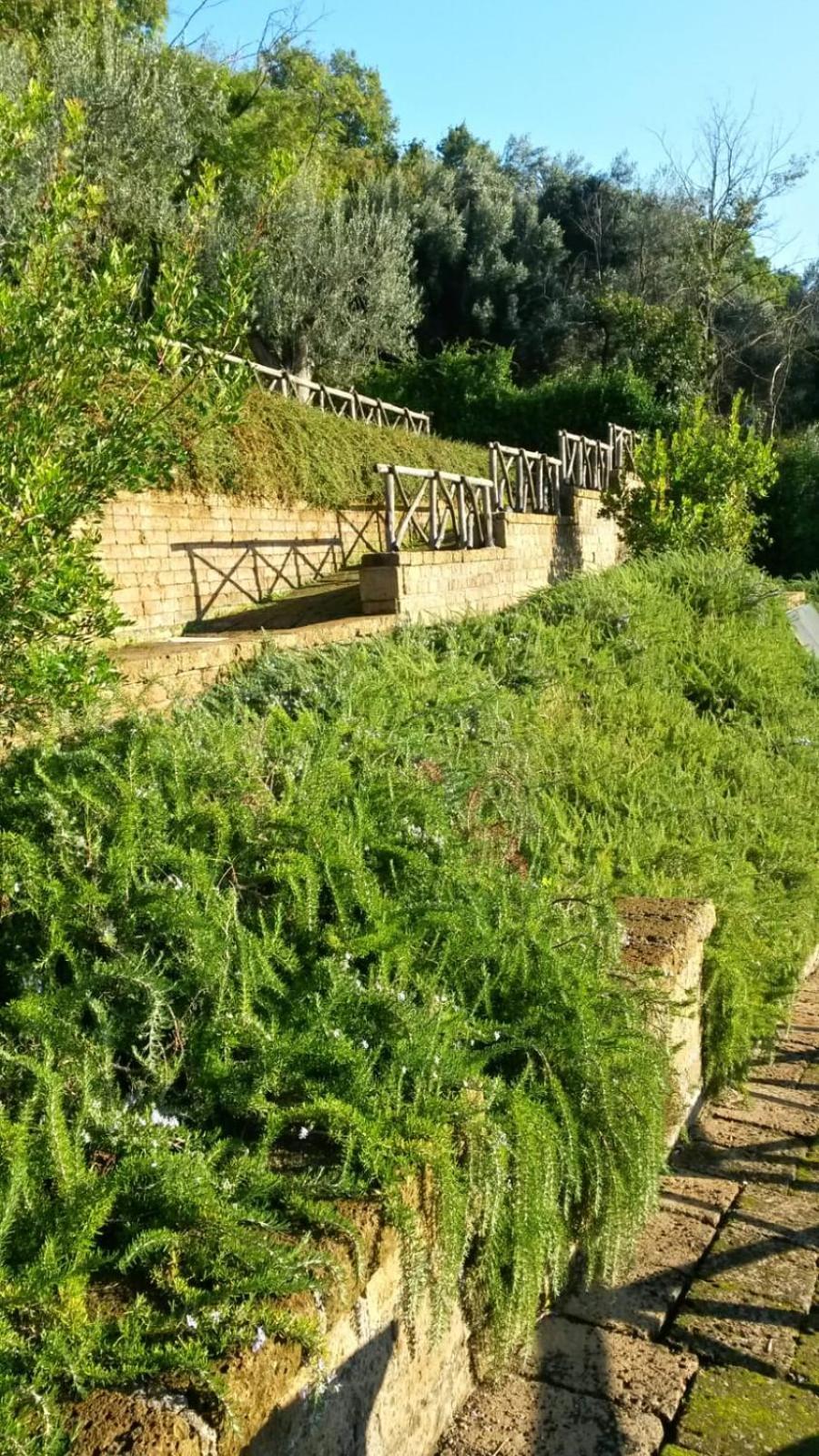 La Cerasa - Il Lago Fuori Bracciano  Esterno foto