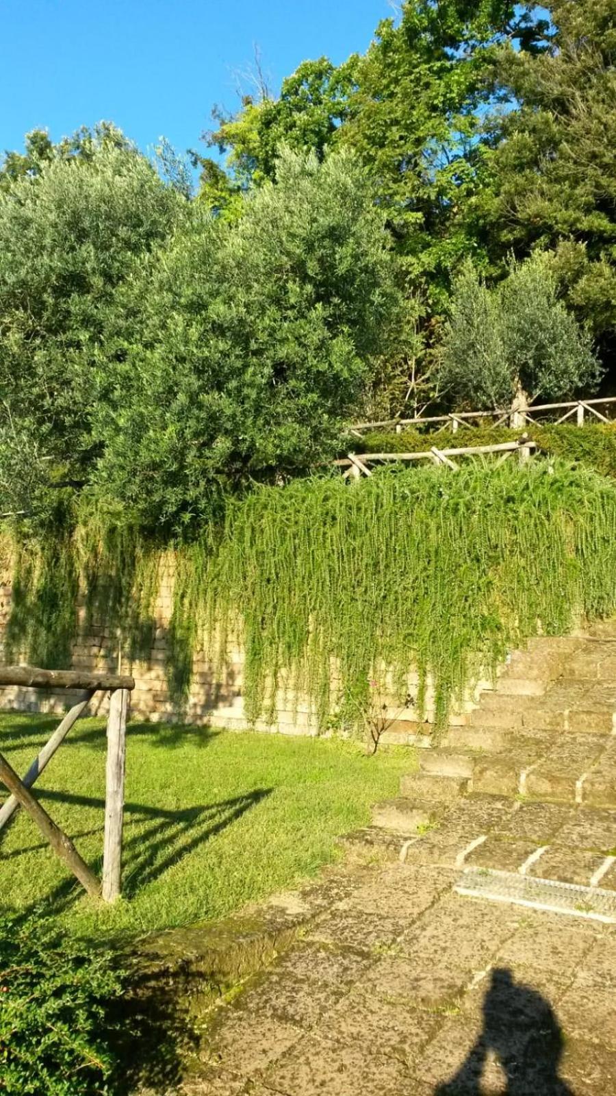 La Cerasa - Il Lago Fuori Bracciano  Esterno foto