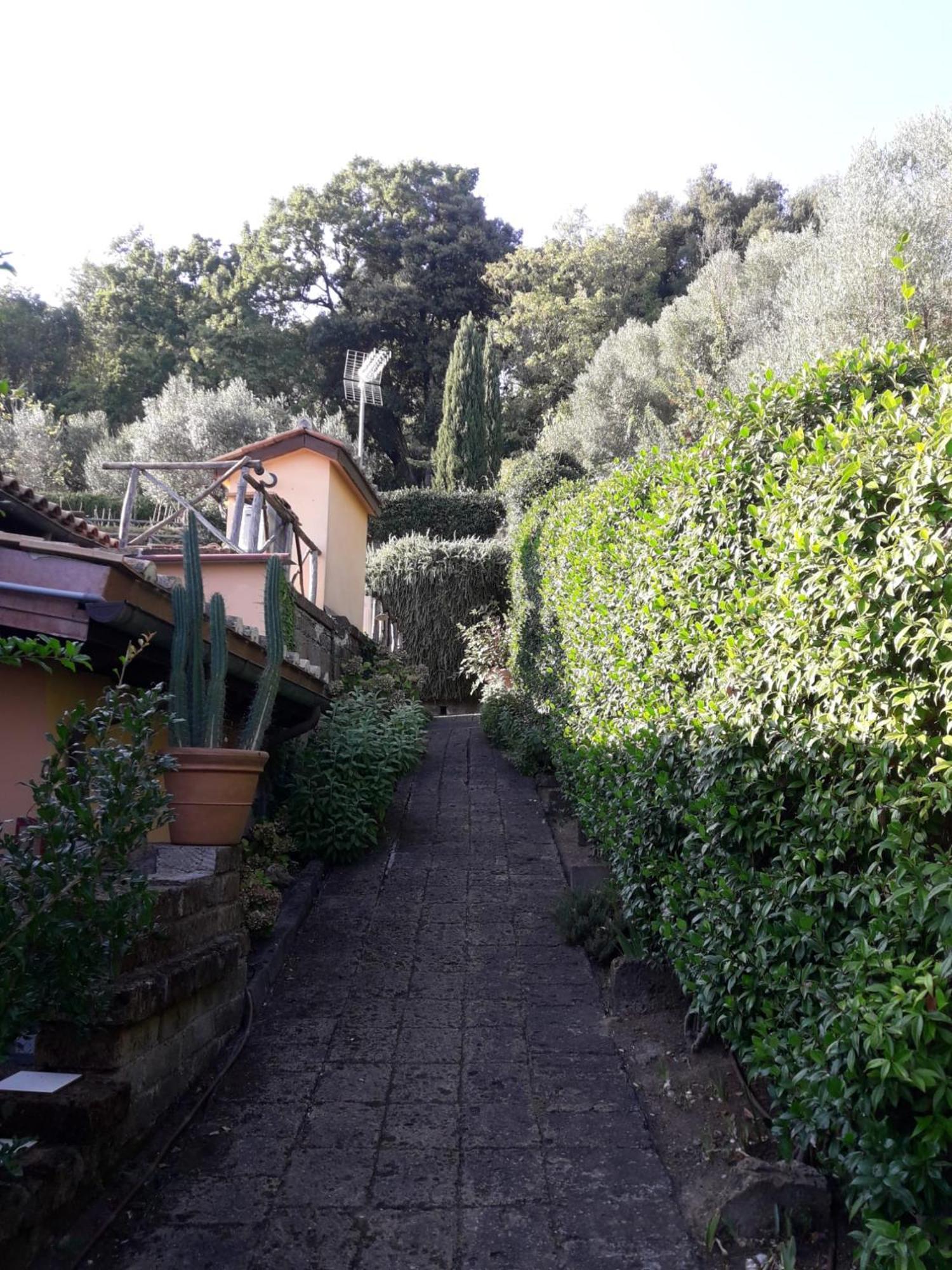 La Cerasa - Il Lago Fuori Bracciano  Esterno foto
